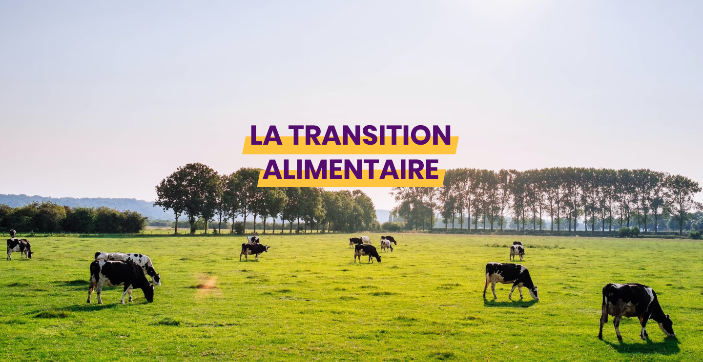 Couverture de l'article sur la transition alimentaire