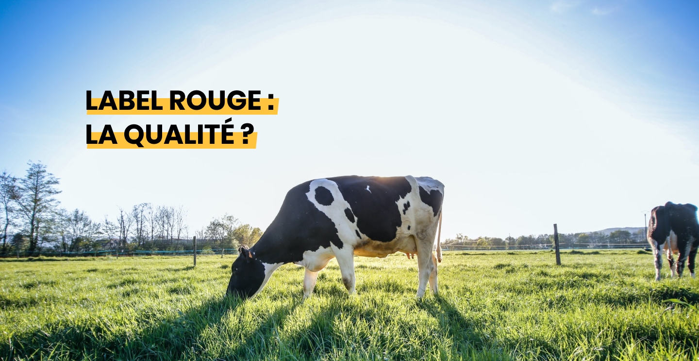 Vaches d'Alsace en plein air : Label Rouge ?