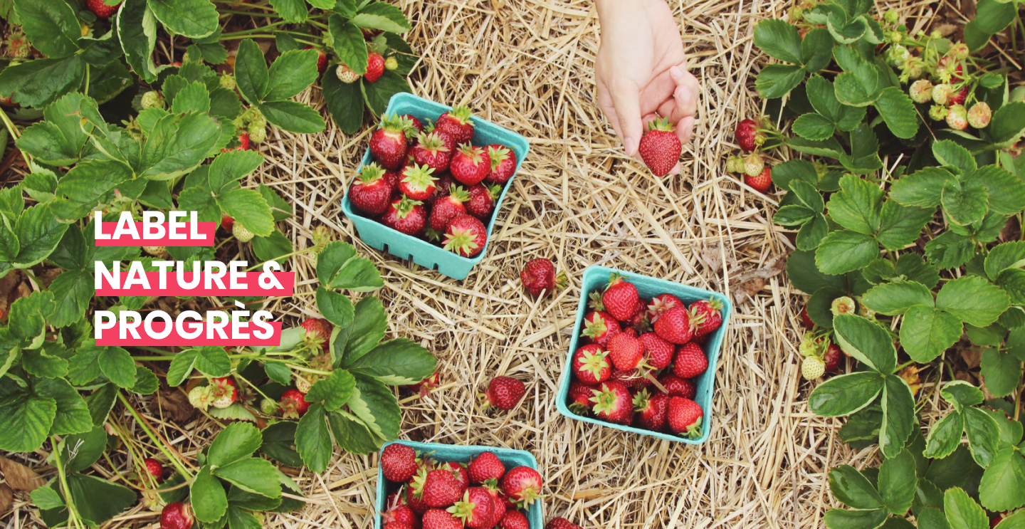 Culture de fraises, Nature et progrès