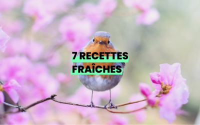 7 Recettes du Printemps