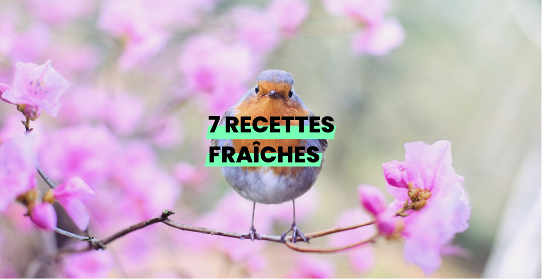 recettes de printemps