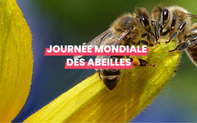 Journée mondiale des abeilles