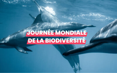 Journée mondiale de la biodiversité