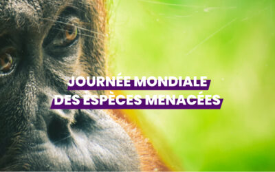 Journée mondiale des espèces menacées