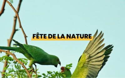 Fête de la nature 2022