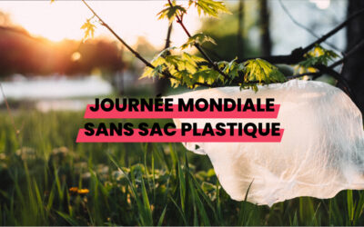 Journée mondiale sans sac plastique