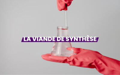 La viande de synthèse : l’avenir de l’alimentation ?