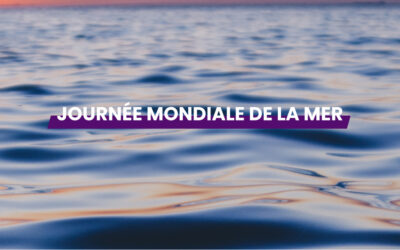 Journée mondiale de la mer : transition écologique du monde maritime