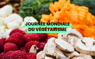 Journée mondiale du végétarisme : faire le plein de vitamines !